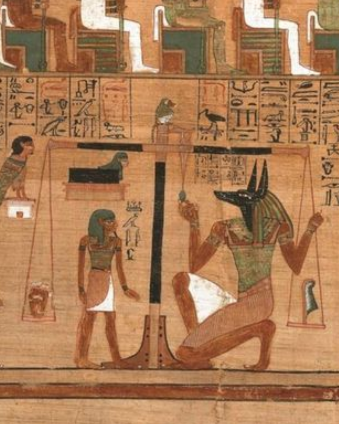 Home anubis